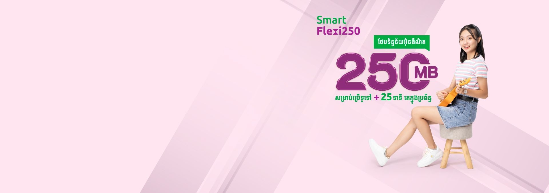 Smart Flexi250