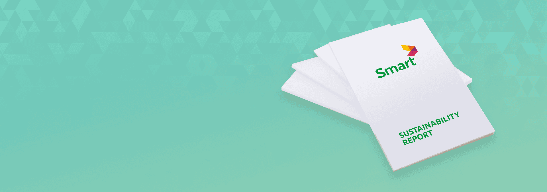 Sustainability reports