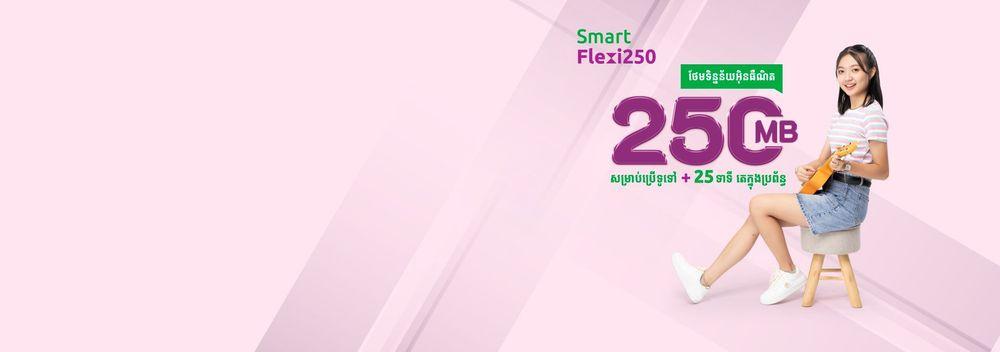 Smart Flexi250