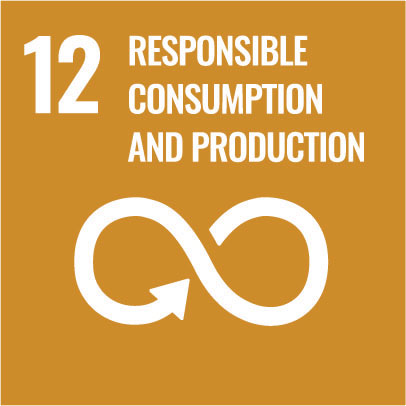 sdg12